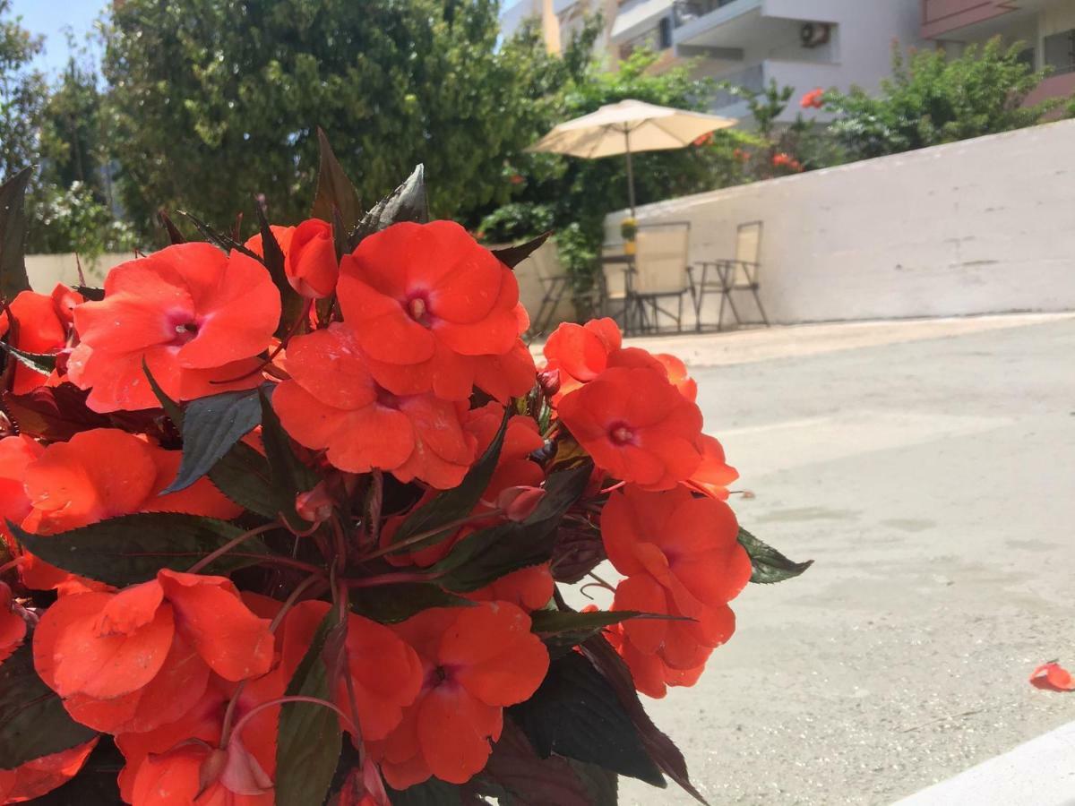 Renovated Apt 100M From Beach Wifi Ac Anavyssos Bagian luar foto